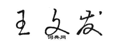 骆恒光王文发草书个性签名怎么写