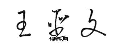 骆恒光王圣文草书个性签名怎么写