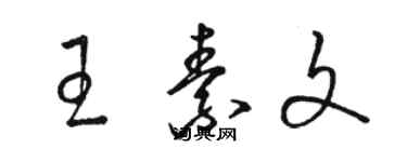 骆恒光王素文草书个性签名怎么写