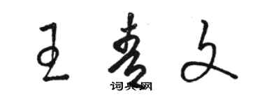 骆恒光王青文草书个性签名怎么写