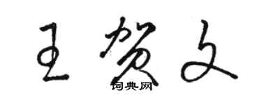 骆恒光王贺文草书个性签名怎么写
