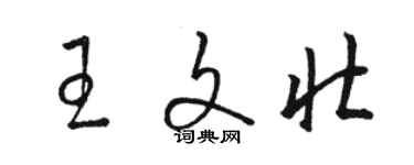 骆恒光王文壮草书个性签名怎么写