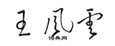 骆恒光王风云草书个性签名怎么写