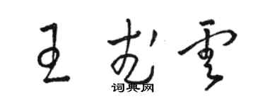 骆恒光王武云草书个性签名怎么写