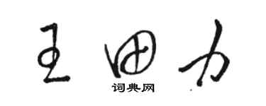 骆恒光王田力草书个性签名怎么写