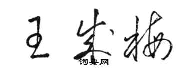 骆恒光王成梅草书个性签名怎么写