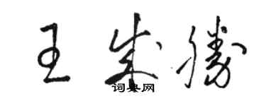 骆恒光王成胜草书个性签名怎么写