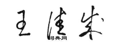 骆恒光王佳成草书个性签名怎么写