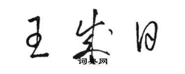 骆恒光王成日草书个性签名怎么写