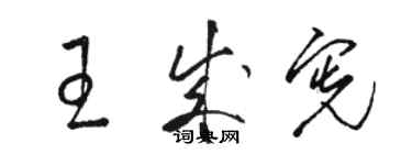 骆恒光王成宪草书个性签名怎么写