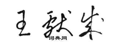 骆恒光王献成草书个性签名怎么写