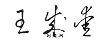 骆恒光王成爱草书个性签名怎么写
