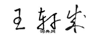 骆恒光王轩成草书个性签名怎么写