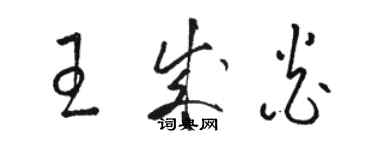骆恒光王成炎草书个性签名怎么写