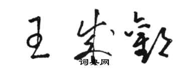 骆恒光王成欢草书个性签名怎么写