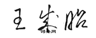 骆恒光王成昭草书个性签名怎么写