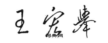 骆恒光王宏举草书个性签名怎么写