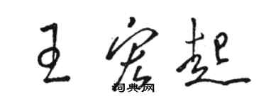 骆恒光王宏起草书个性签名怎么写