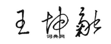 骆恒光王坤融草书个性签名怎么写