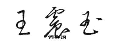 骆恒光王震玉草书个性签名怎么写