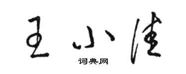骆恒光王小佳草书个性签名怎么写