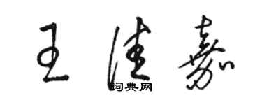 骆恒光王佳嘉草书个性签名怎么写