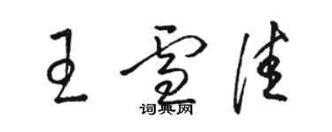 骆恒光王雪佳草书个性签名怎么写