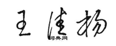 骆恒光王佳杨草书个性签名怎么写