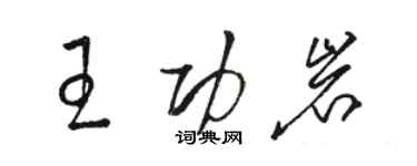骆恒光王功岩草书个性签名怎么写