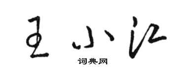 骆恒光王小江草书个性签名怎么写