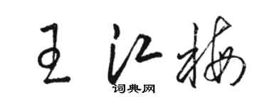 骆恒光王江梅草书个性签名怎么写
