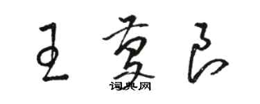 骆恒光王庆良草书个性签名怎么写