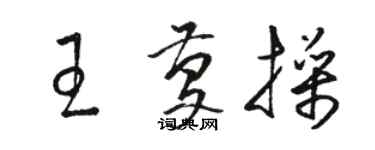 骆恒光王庆操草书个性签名怎么写
