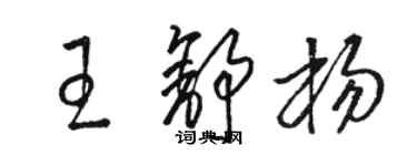 骆恒光王舒杨草书个性签名怎么写