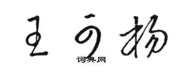 骆恒光王可杨草书个性签名怎么写