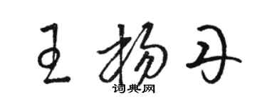 骆恒光王杨丹草书个性签名怎么写