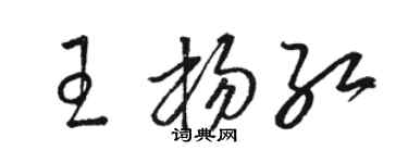 骆恒光王杨红草书个性签名怎么写