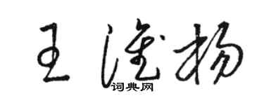 骆恒光王淮杨草书个性签名怎么写