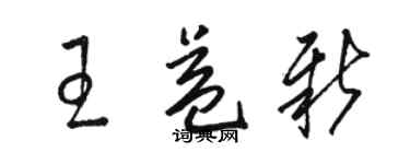 骆恒光王益新草书个性签名怎么写