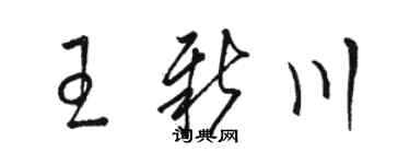 骆恒光王新川草书个性签名怎么写