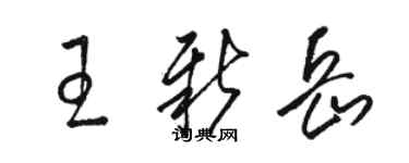 骆恒光王新岳草书个性签名怎么写