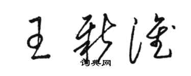 骆恒光王新淮草书个性签名怎么写