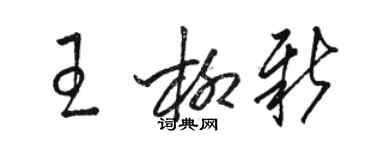 骆恒光王柳新草书个性签名怎么写