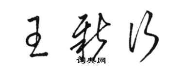 骆恒光王新行草书个性签名怎么写