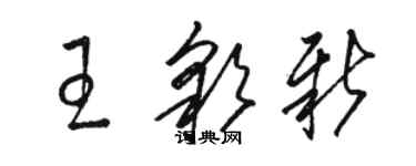 骆恒光王彩新草书个性签名怎么写