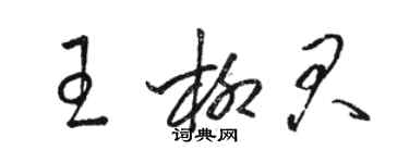骆恒光王柳君草书个性签名怎么写