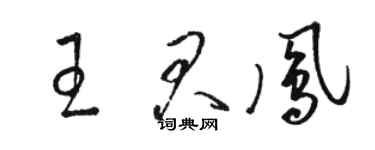 骆恒光王君凤草书个性签名怎么写