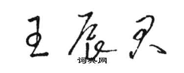 骆恒光王辰君草书个性签名怎么写