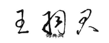 骆恒光王羽君草书个性签名怎么写
