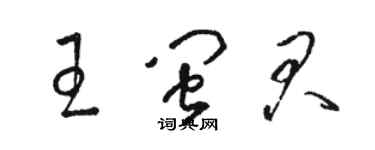骆恒光王闽君草书个性签名怎么写